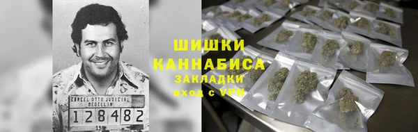 PSILOCYBIN Киреевск