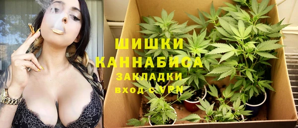 PSILOCYBIN Киреевск