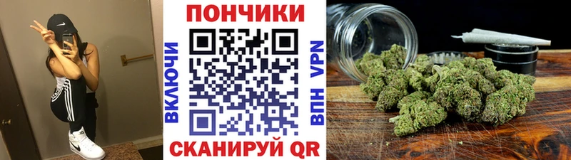 Купить  Магас  Бошки Шишки семена 